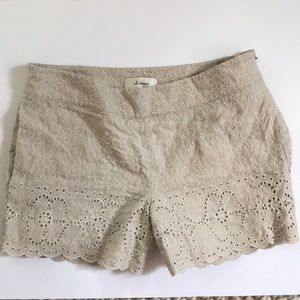 Elevenses shorts from Anthropologie